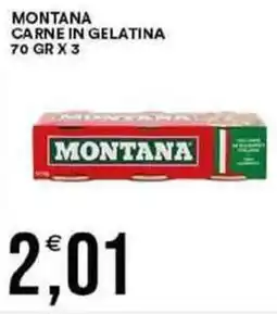 Vantaggio Cash&Carry Montana carne in gelatina offerta