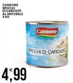 Vantaggio Cash&Carry Cannone spicchi di carciofi al naturale offerta