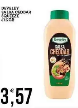 Vantaggio Cash&Carry Develey salsa ceddar squeeze offerta