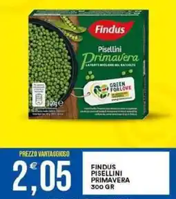 Vantaggio Cash&Carry Findus pisellini primavera offerta