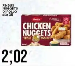 Vantaggio Cash&Carry Findus Nuggets di Pollo offerta