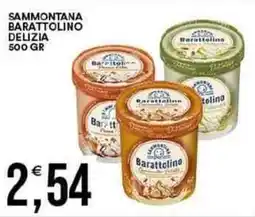 Vantaggio Cash&Carry Sammontana barattolino delizia offerta