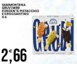 Vantaggio Cash&Carry Sammontana gruvi mini fondente pistacchio e croccantino x6 offerta