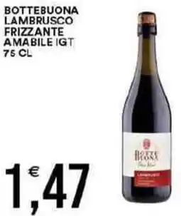 Vantaggio Cash&Carry Bottebuona lambrusco frizzante amabile IGT offerta