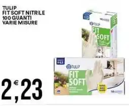 Vantaggio Cash&Carry Tulip fit soft nitrile 100 guanti varie misure offerta