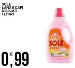 Vantaggio Cash&Carry Sole lana e capi delicati offerta