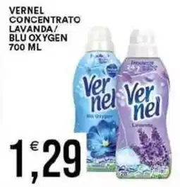 Vantaggio Cash&Carry Vernel concentrato lavanda/ blu oxygen offerta