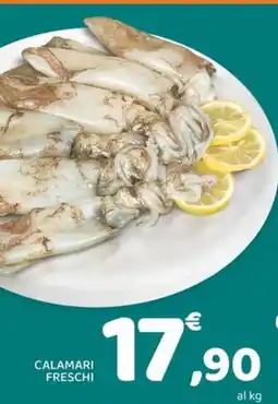 Conad Calamari freschi offerta