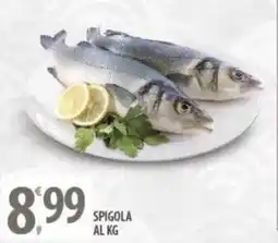 Sisa Spigola offerta