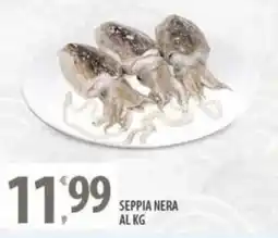 Sisa Seppia nera offerta
