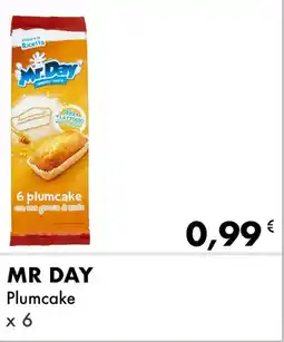 Iper Tosano MR DAY Plumcake offerta