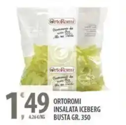 Sisa Ortoromi insalata iceberg busta offerta