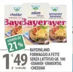Sisa Bayernland formaggio a fette senza lattosio offerta