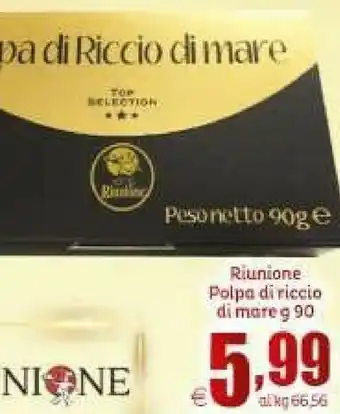 Elite Polpo offerta
