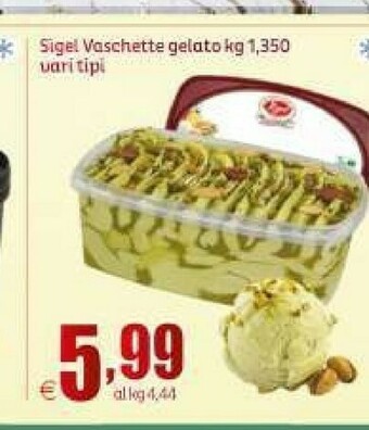 Elite Gelato offerta