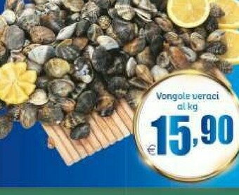 Elite Vongole offerta