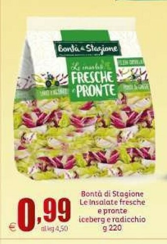 Elite Insalata offerta
