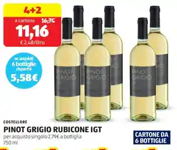 ALDI Costellore pinot grigio rubicone IGT offerta