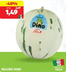 ALDI Melone dino offerta