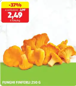 ALDI Funghi finferli offerta