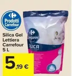 Carrefour Express Silica Gel Lettiera Carrefour offerta