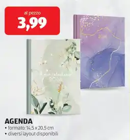 ALDI Agenda offerta