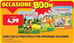 ALDI Libri con le finestrelle per imparare giocando offerta
