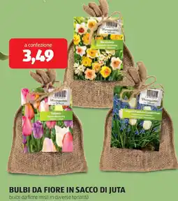 ALDI Bulbi da fiore in sacco di juta offerta
