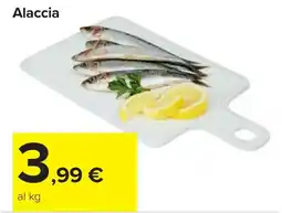 Carrefour Alaccia offerta