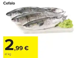Carrefour Cefalo offerta