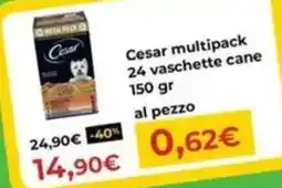 Arcaplanet Cesar multipack 24 vaschette cane offerta