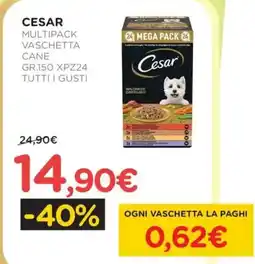 Arcaplanet Cesar multipack vaschetta cane offerta