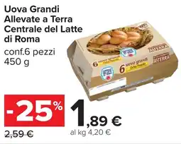Carrefour Uova Grandi Allevate a Terra Centrale del Latte di Roma offerta