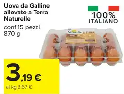 Carrefour Uova da Galline allevate a Terra Naturelle offerta