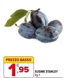 Iperal Susine stanley offerta
