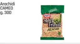 Supermercati Dok Arachidi CAMEO offerta