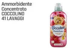 Supermercati Dok Ammorbidente Concentrato COCCOLINO offerta