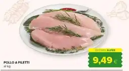 Tigre Amico Pollo a filetti offerta