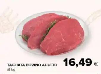 Tigre Amico Tagliata bovino adulto offerta