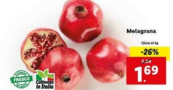 Lidl Melagrana offerta