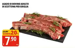 Tigros Asado di bovino adulto di scottona per griglia offerta