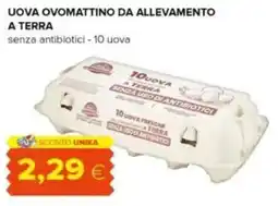 Oasi Uova ovomattino da allevamento a terra offerta