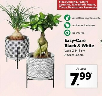 Lidl Easy-care black & white offerta