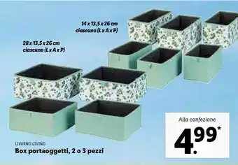 Lidl Livarno living box portaoggetti offerta