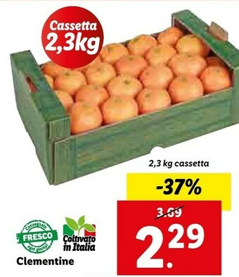 Lidl Clementine offerta