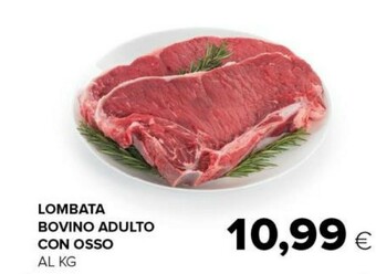Tigre Lombata bovino adulto con osso offerta