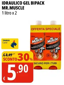 Tigros Idraulico gel bipack MR.MUSCLE offerta