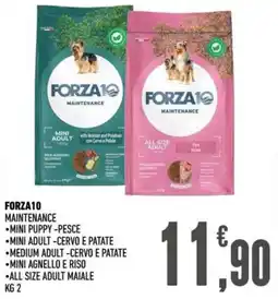 Ayoka FORZA10 Maintenance offerta