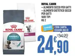 Ayoka Royal canin alimento secco per gatti offerta