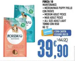 Ayoka FORZA1 maintenance offerta